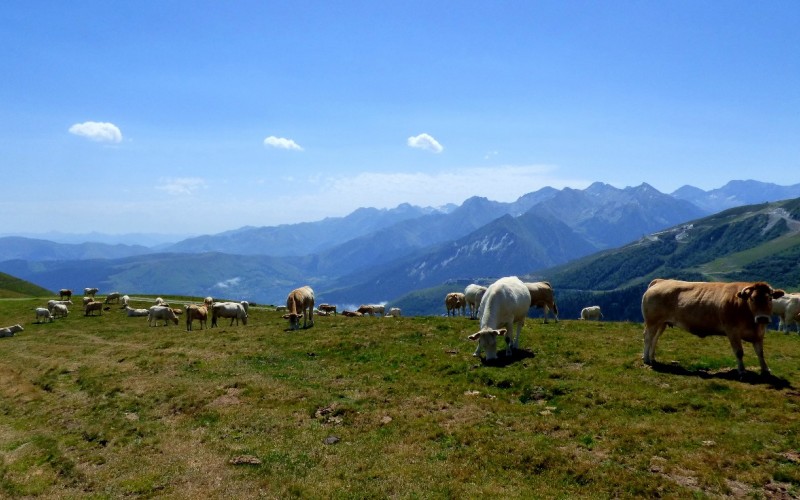 Découverte confort du Parc National des Pyrénées par le GR10 : Partie Est